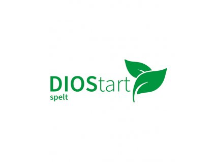 DIOStartspeltWEB