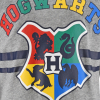 Chlapčenské pyžamo HARRY POTTER HOGWARTS šedé