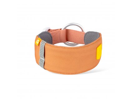 Alpha 360 Collar Golden Hour Mix back