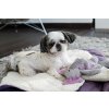 dog bed dreamy lily toy dumbo bowl and bone republic ls1sa