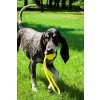 dog toy bullet yellow bowl and bone republic ls1sa 2