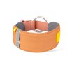 Alpha 360 Collar Golden Hour Mix back