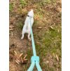 Ropeleash Mint Green