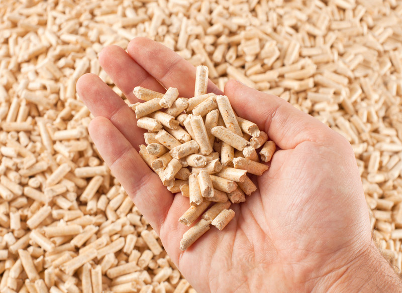 wood-pellets-hand
