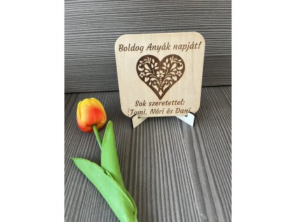 A5CD098E 6AA5 4163 B0FB 4B4F2A25868A