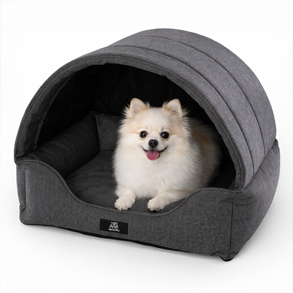 Jak vybrat domeček pro psa: kompletní průvodce