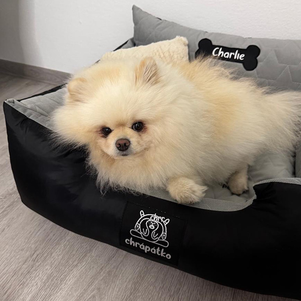 Jak vybrat pelíšek pro psa: praktický návod krok za krokem