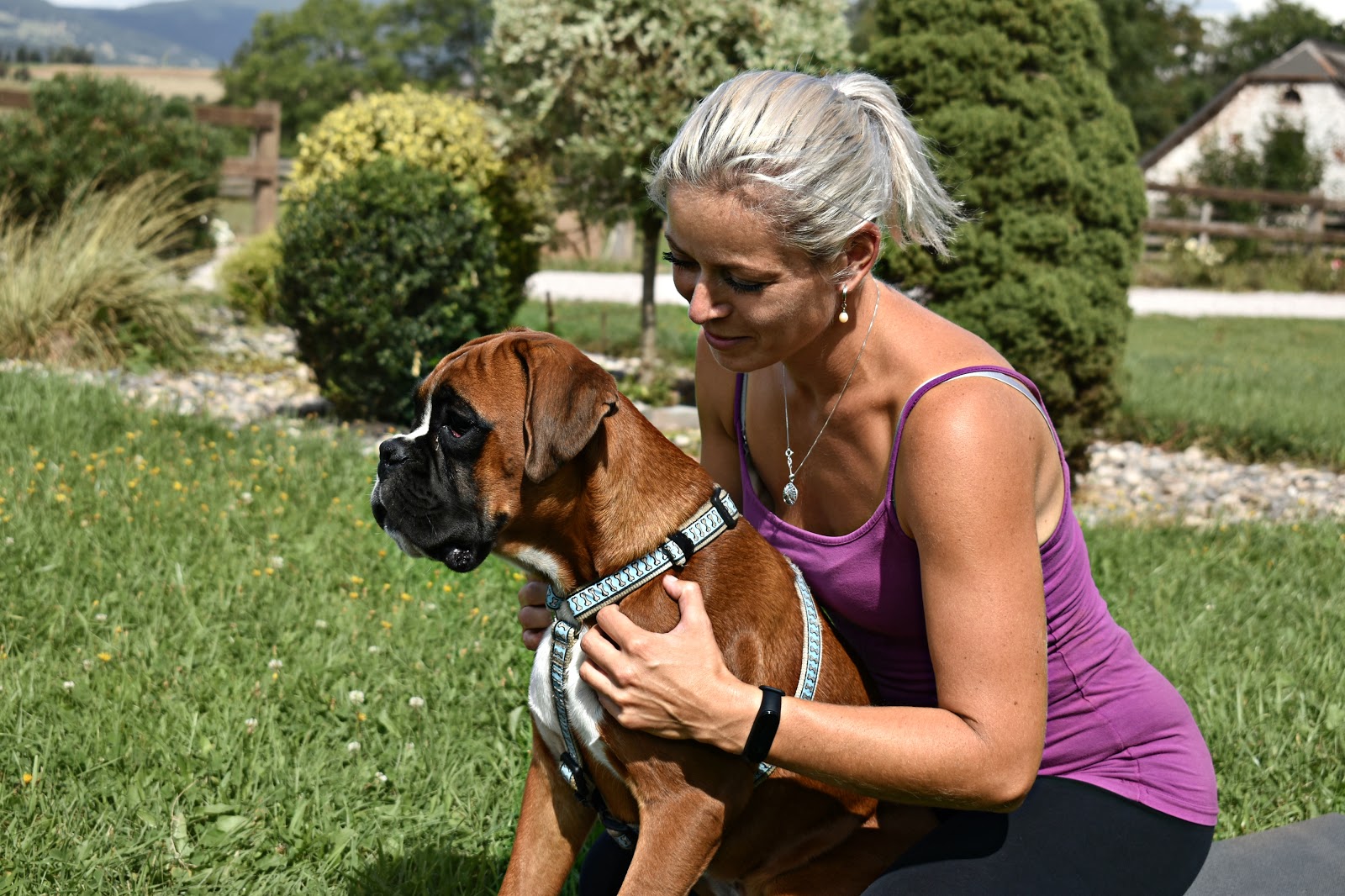 Dornova metoda - jak může pomoci psům?