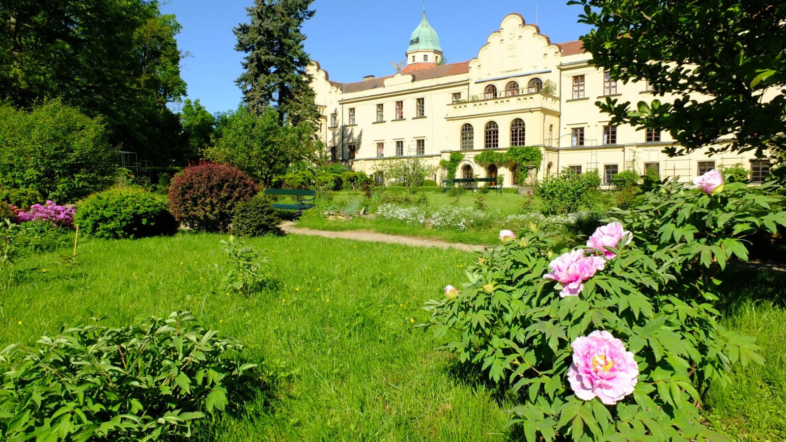 TOP výlety se psem v ČR