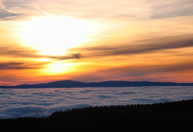 Se psem do Orlických hor