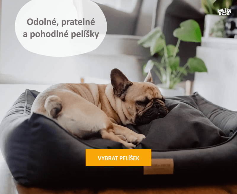 Odolné, pratelné a pohodlné pelíšky