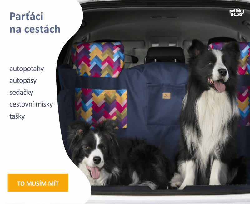 Parťák na cestách