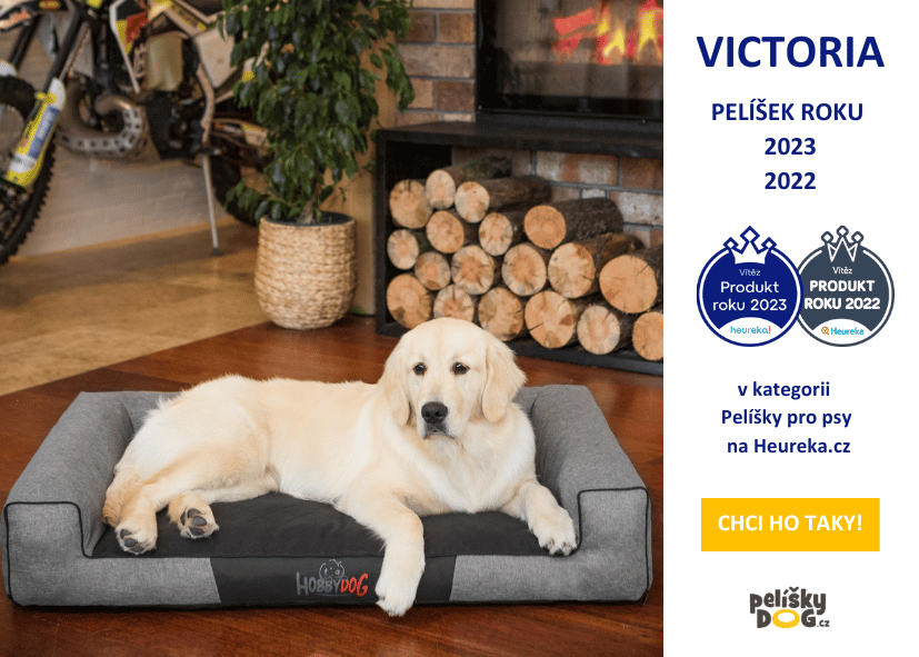 Victoria pelech za rok 2022, 2023