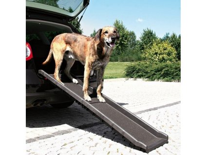 PET RAMP - protiskluzová rampa max.zátěž 90 kg 40 x 156 cm