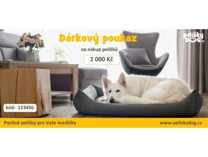Dárkový poukaz