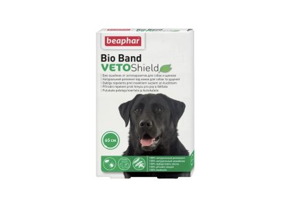 3440F7AB DEFA 47EA 85C9 AC97D8404481 1 201 a