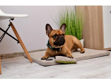 285b98b7d2e946ec9dd536d0d5ed5435