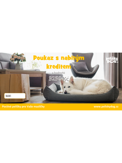 POUKAZ S NABITÝM KREDITEM 3250 Kč