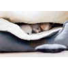 dog bed classic grey bowl and bone republic ls1a (1)