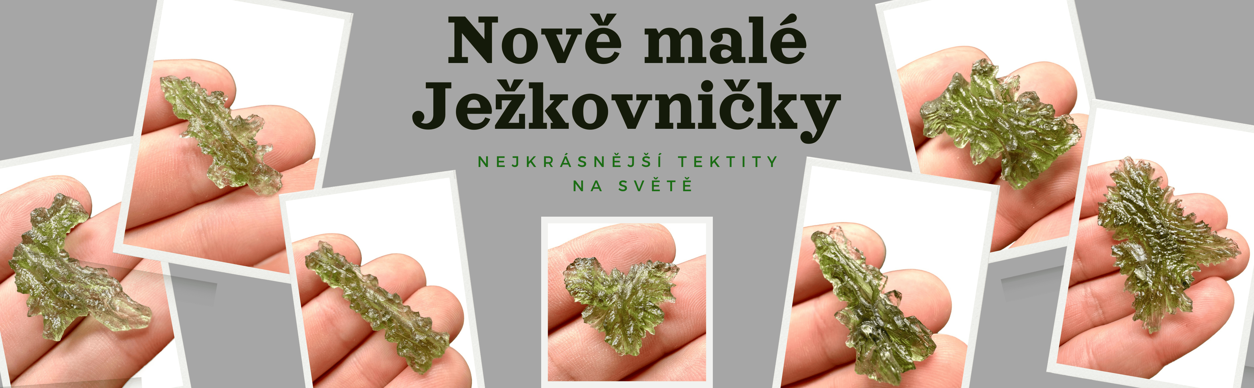 Besednická Ježkovna