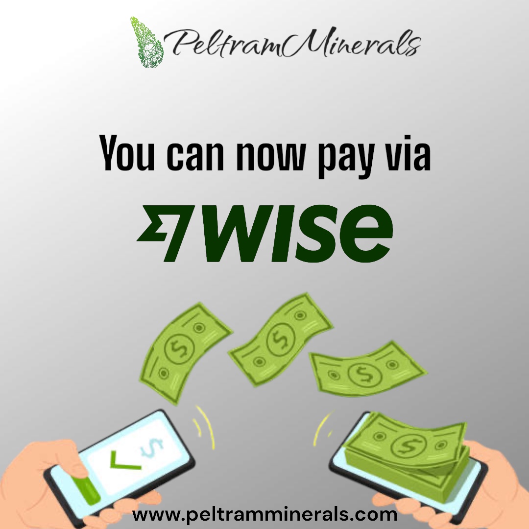 Payment via WISE