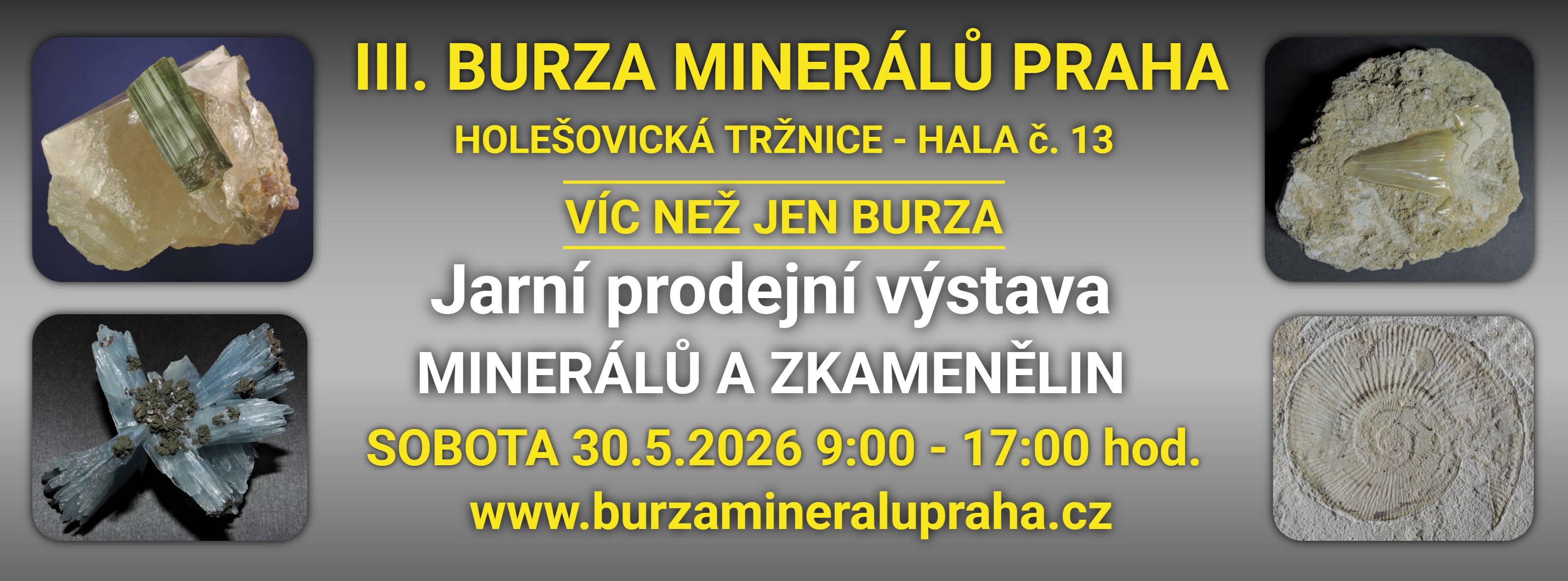Výstava minerálů Holešovice