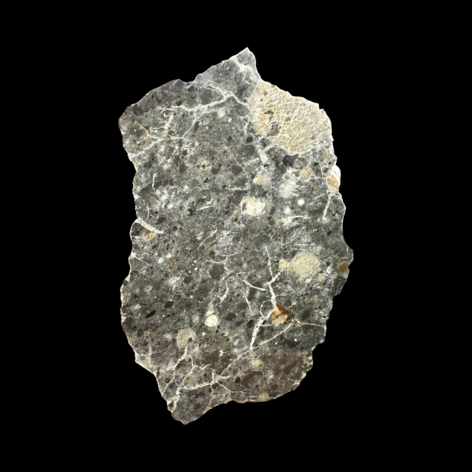 Lunární meteorit Bechar 003