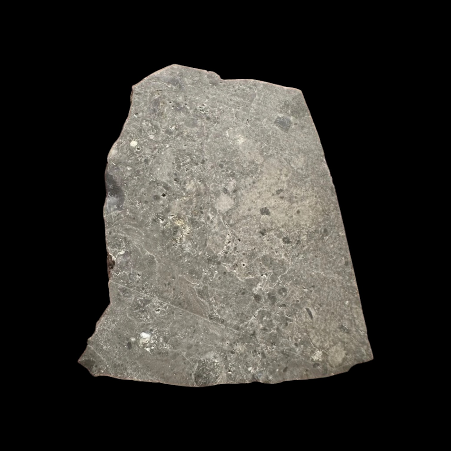Lunární meteorit El Atchane 024