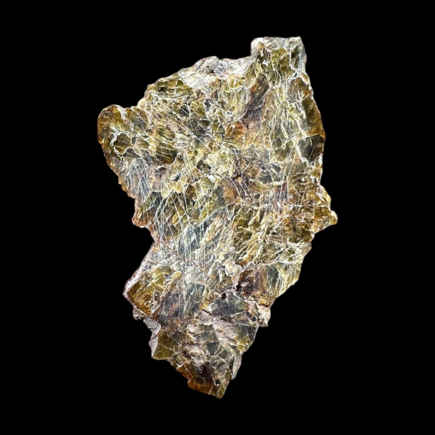 NWA_7831