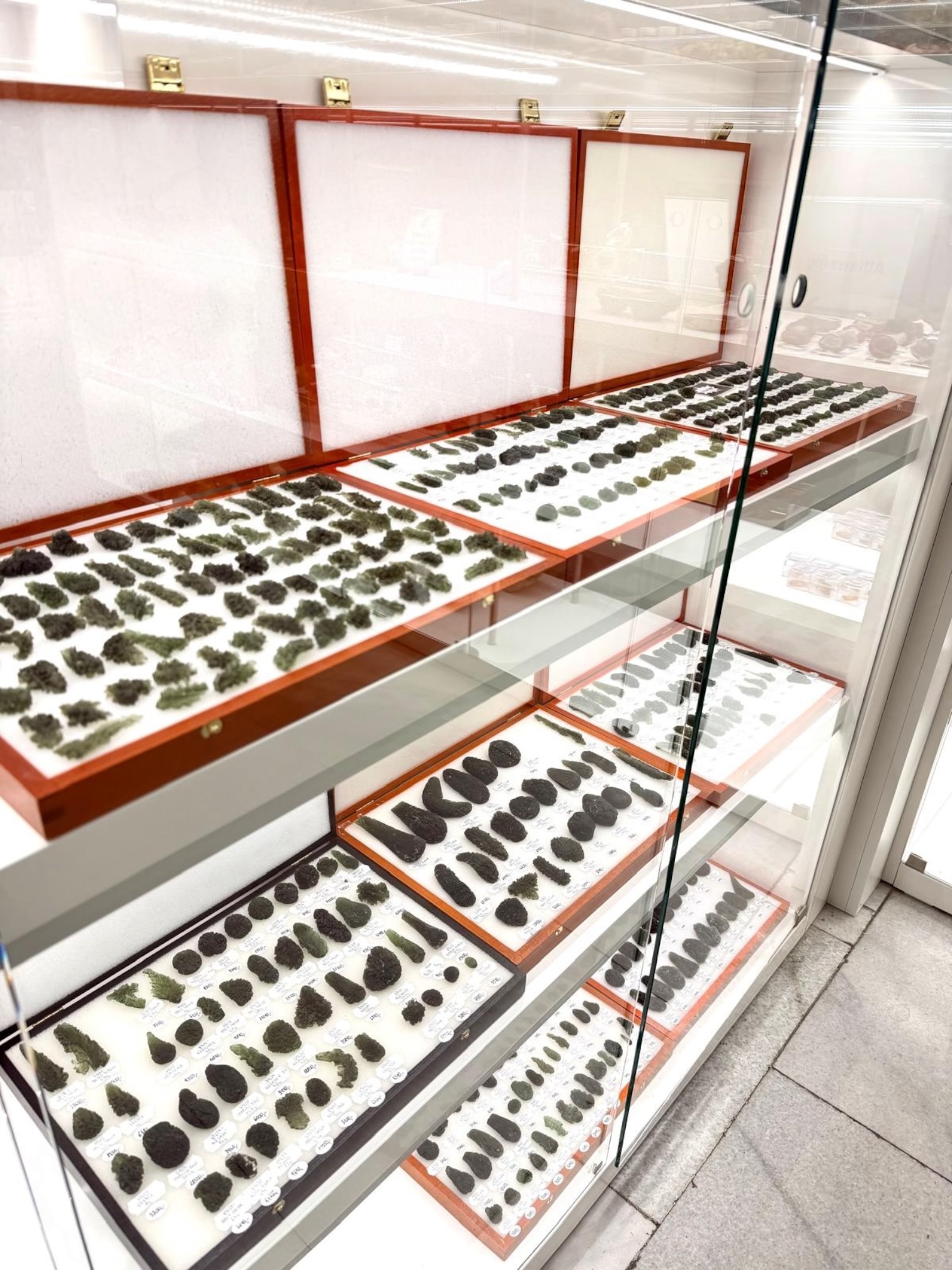 Photoroom_001_20251208_015554