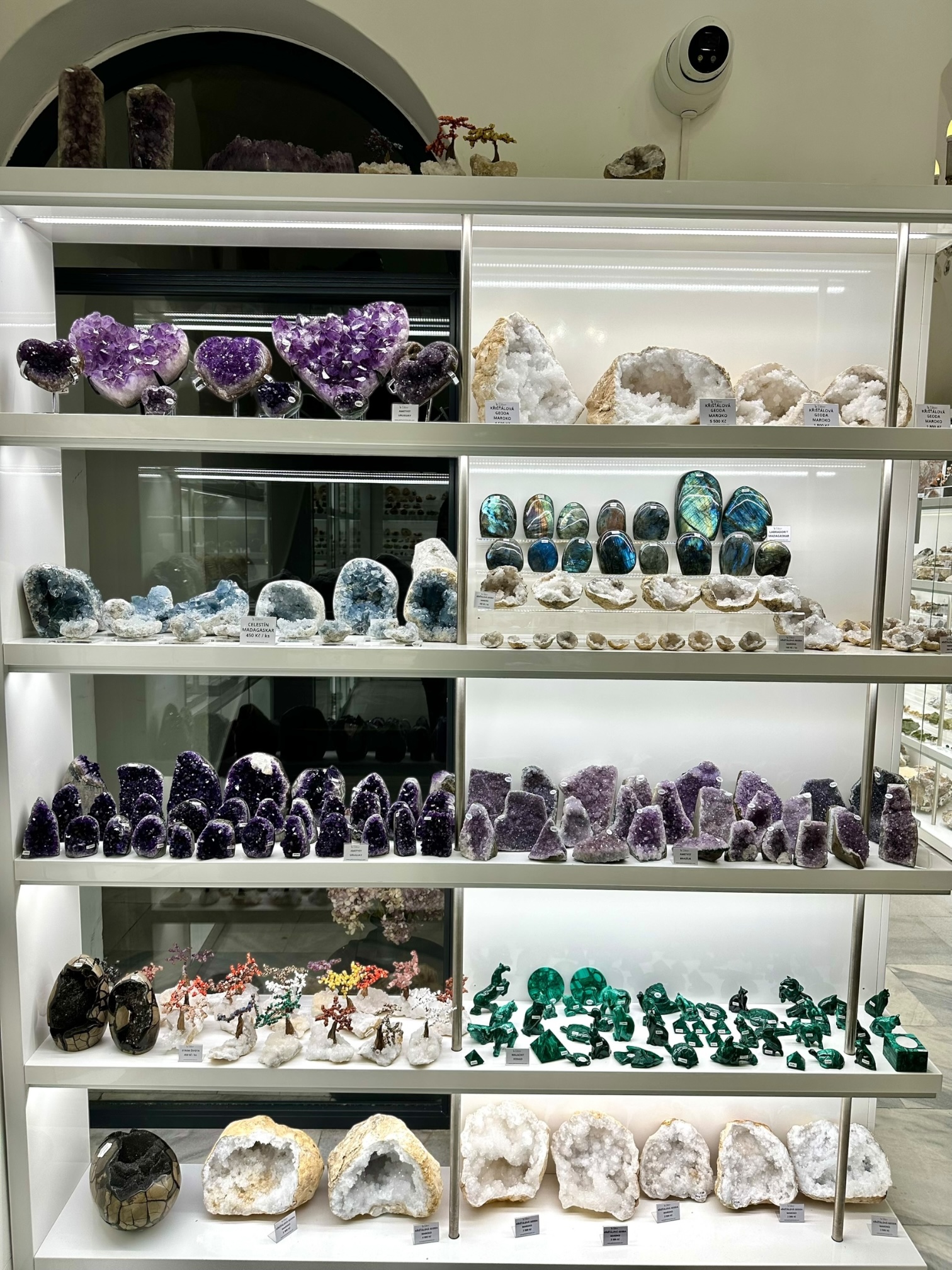 Photoroom_006_20251208_015554