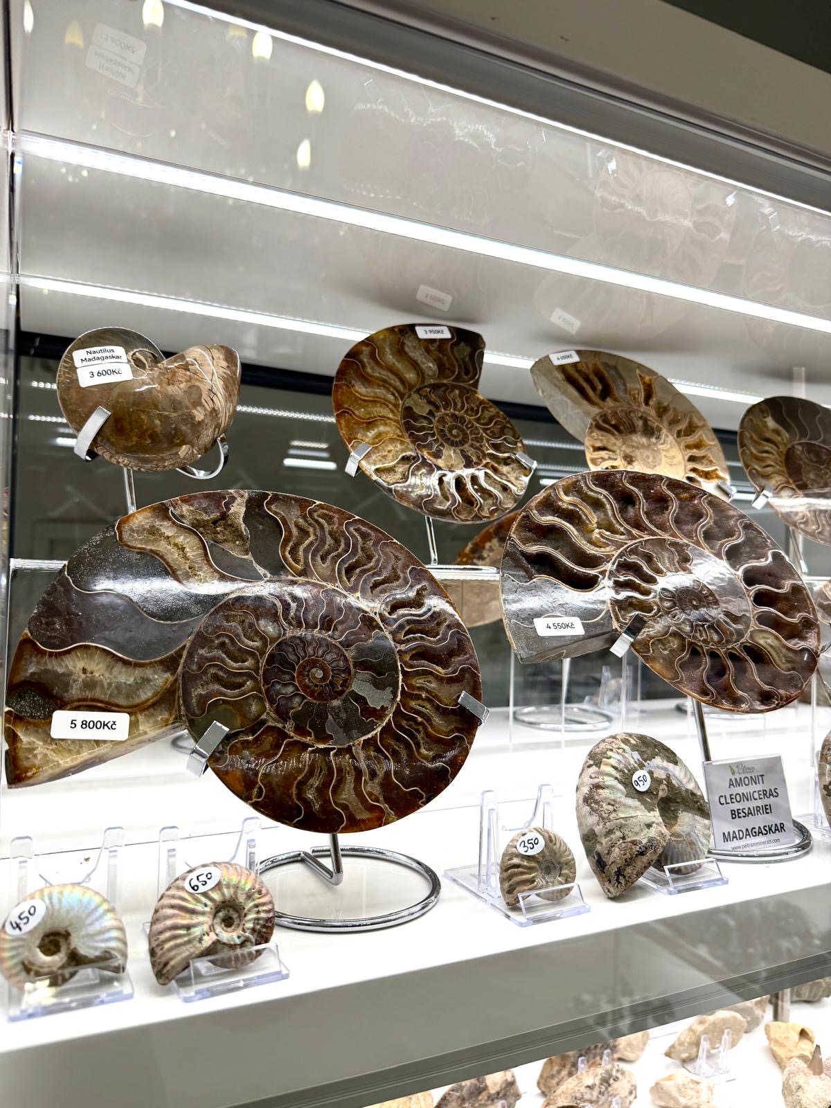 bb639a84-e79e-454a-9d5b-b4017499a00e