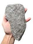 MUONIO_small