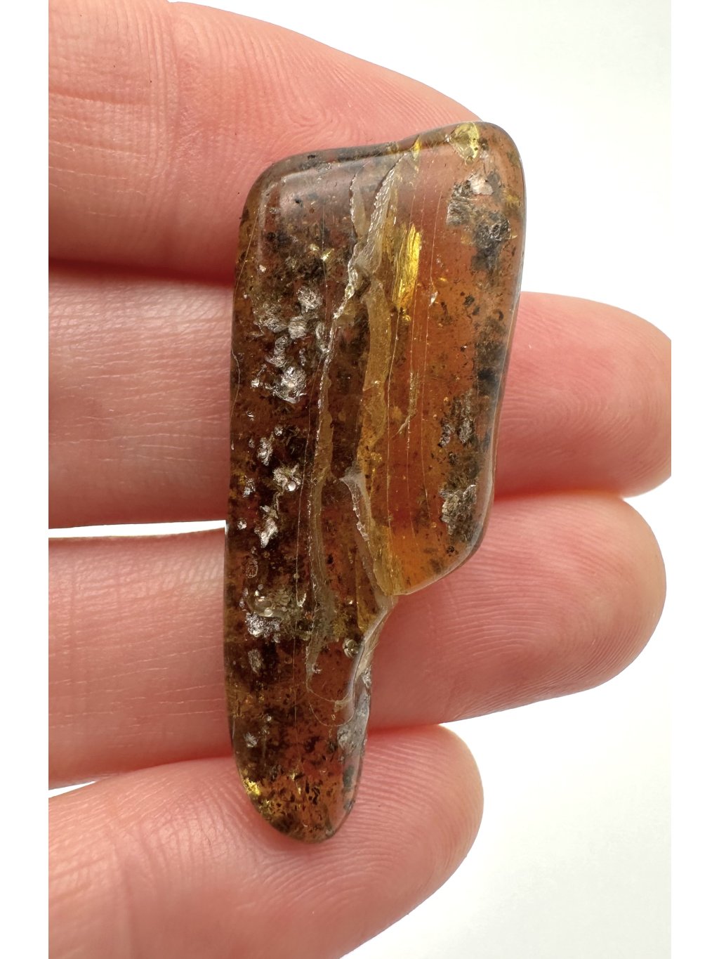 Bernstein – Danzig, Polen