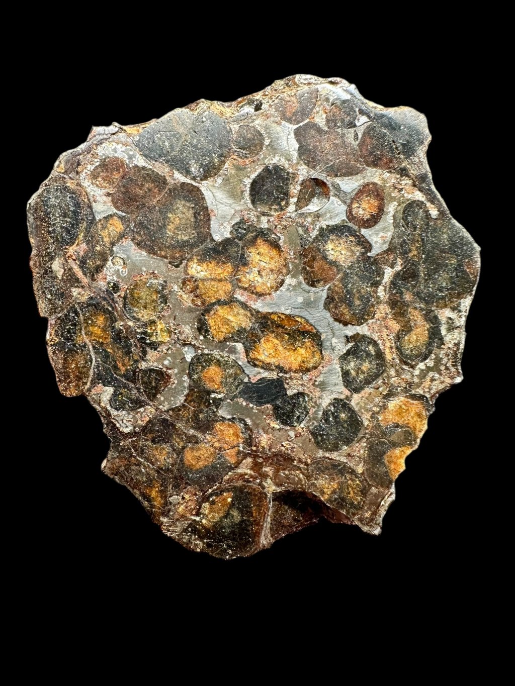 Sericho Pallasite Meteorite 128g – Kenya