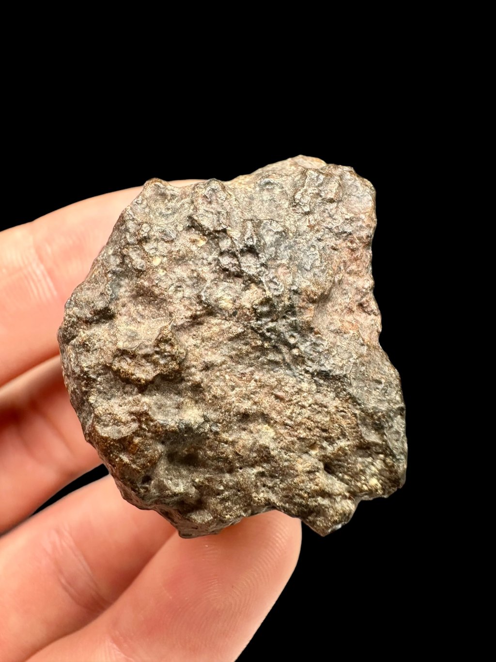 Meteorite Bechar 008, Howardite 32,9g – Algeria