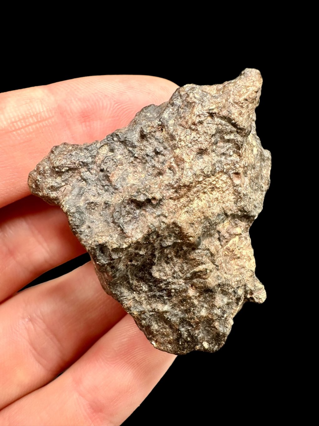 Meteorit Bechar 008, Howardit 40,2g – Algerien