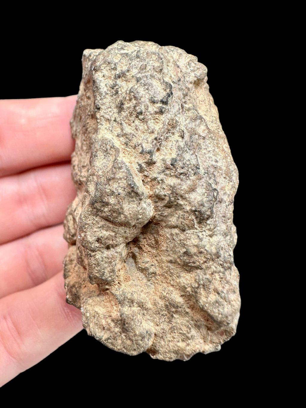 Meteorit Bechar 008, Howardite 92g – Alžírsko