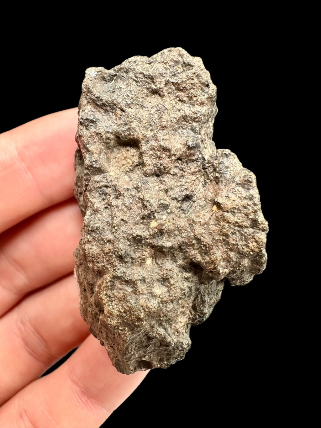 Meteorit Bechar 008, Howardite 34,9g – Alžírsko