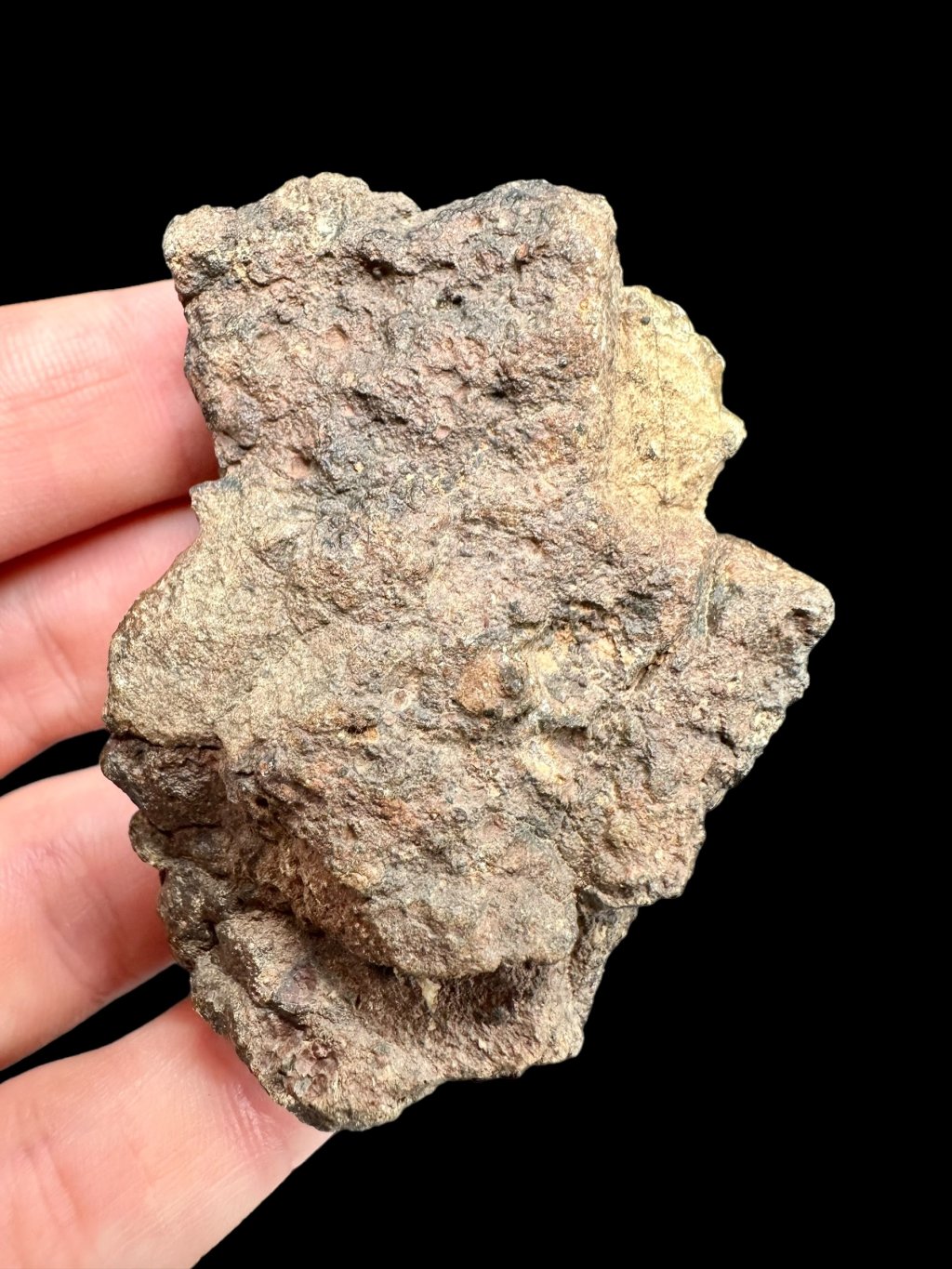 Meteorit Bechar 008, Howardite 70,8g – Alžírsko