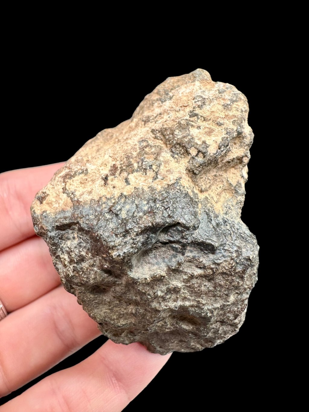 Meteorit Bechar 008, Howardite 130,1g – Alžírsko