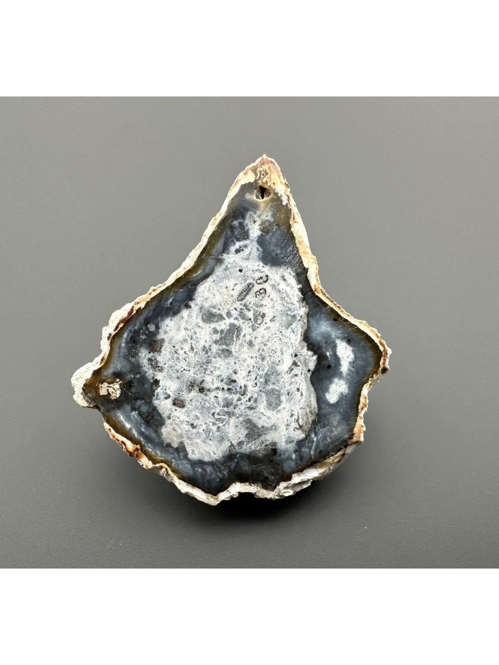 Zkamenělé dřevo "Araukarit" 4,6cm – Madagaskar