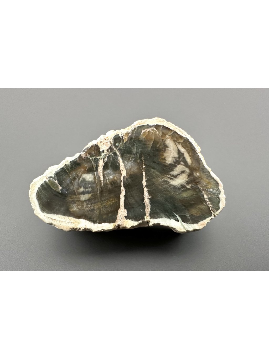 Petrified wood "Araucarite" 4cm – Madagascar
