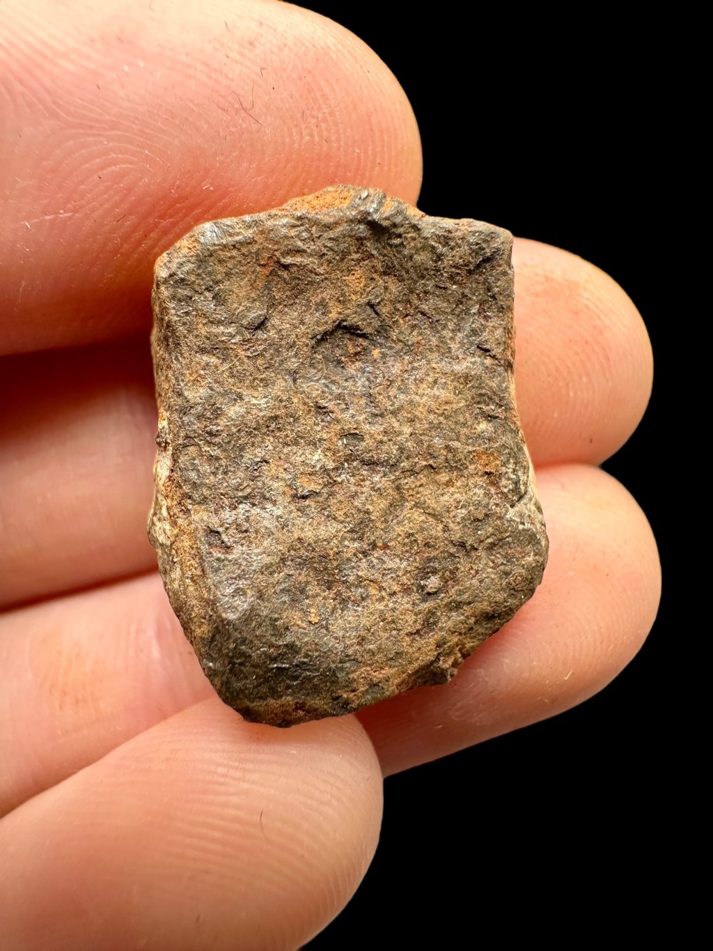 Meteorit Mundrabilla 11,8g – Nullarbor-Ebene, Australien
