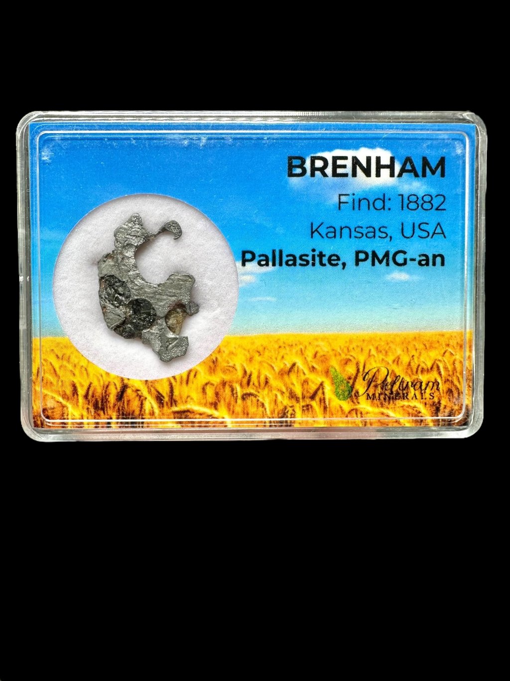 Meteorite Pallasite Brenham 3,8g – Kansas, USA