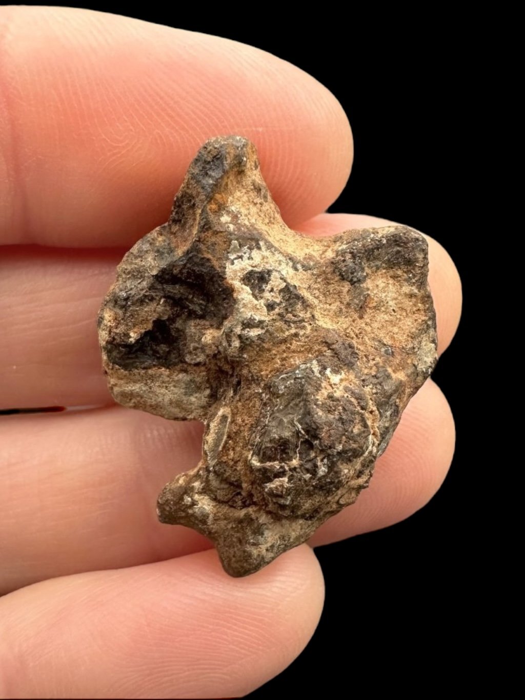 Meteorit Agoudal "Imilchil" 11,6g – Marokko