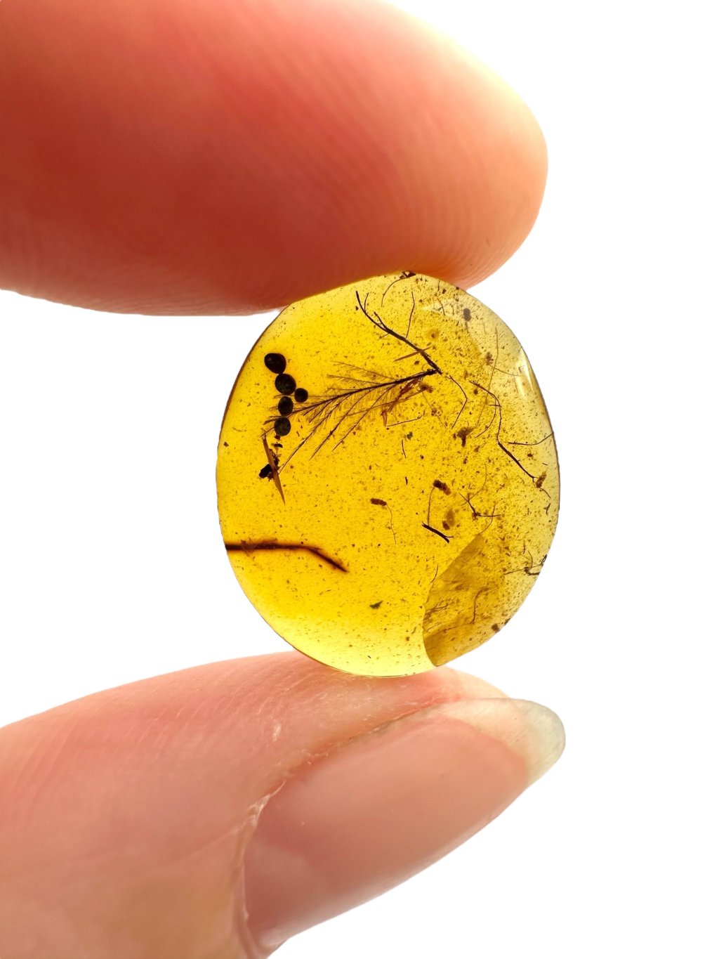 Photoroom 000 20250505 103343