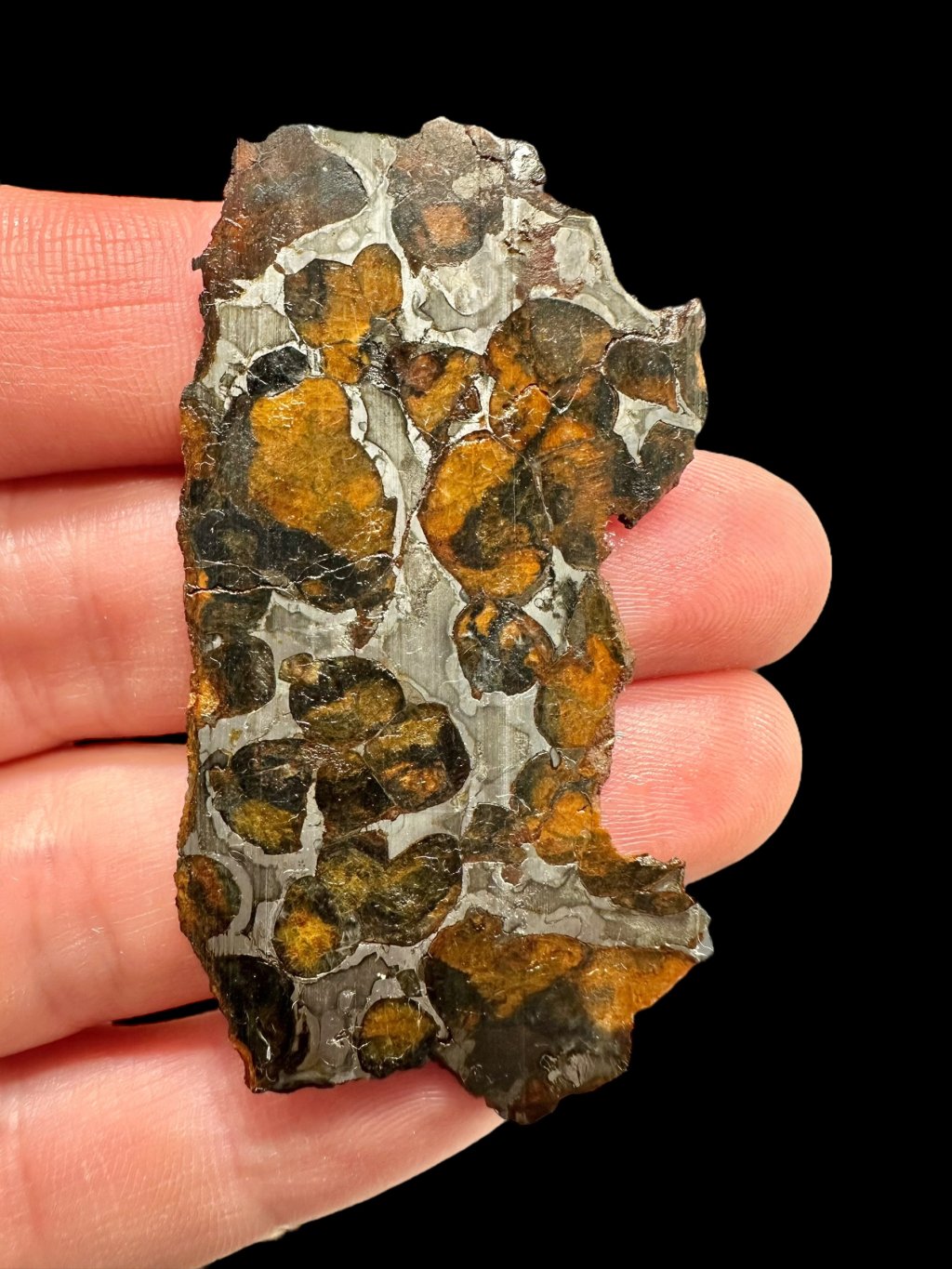 Sericho Pallasite Meteorite 6,3g / slice – Kenya