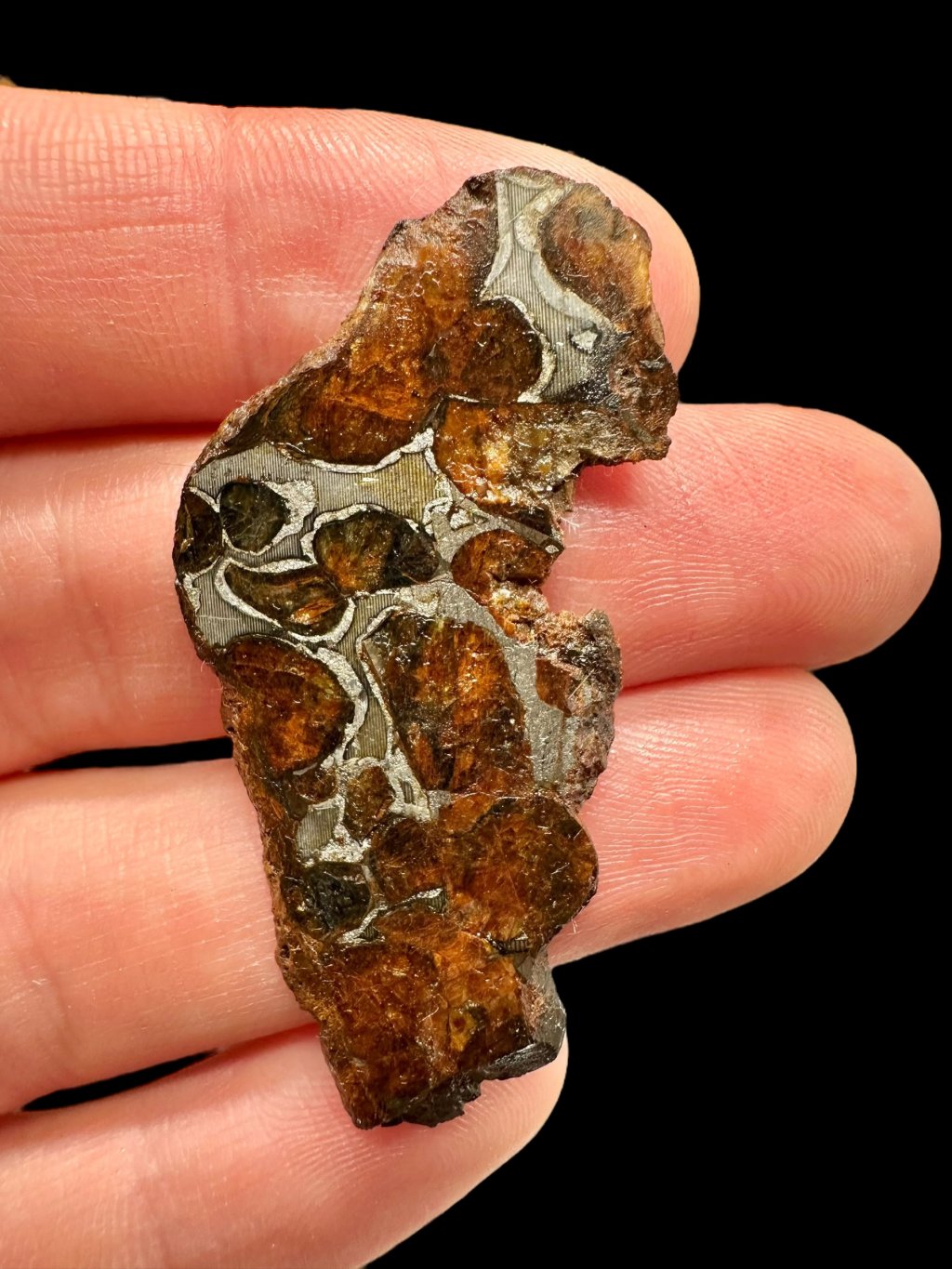 Meteorit Pallasit Sericho 5,8g / plátek – Keňa