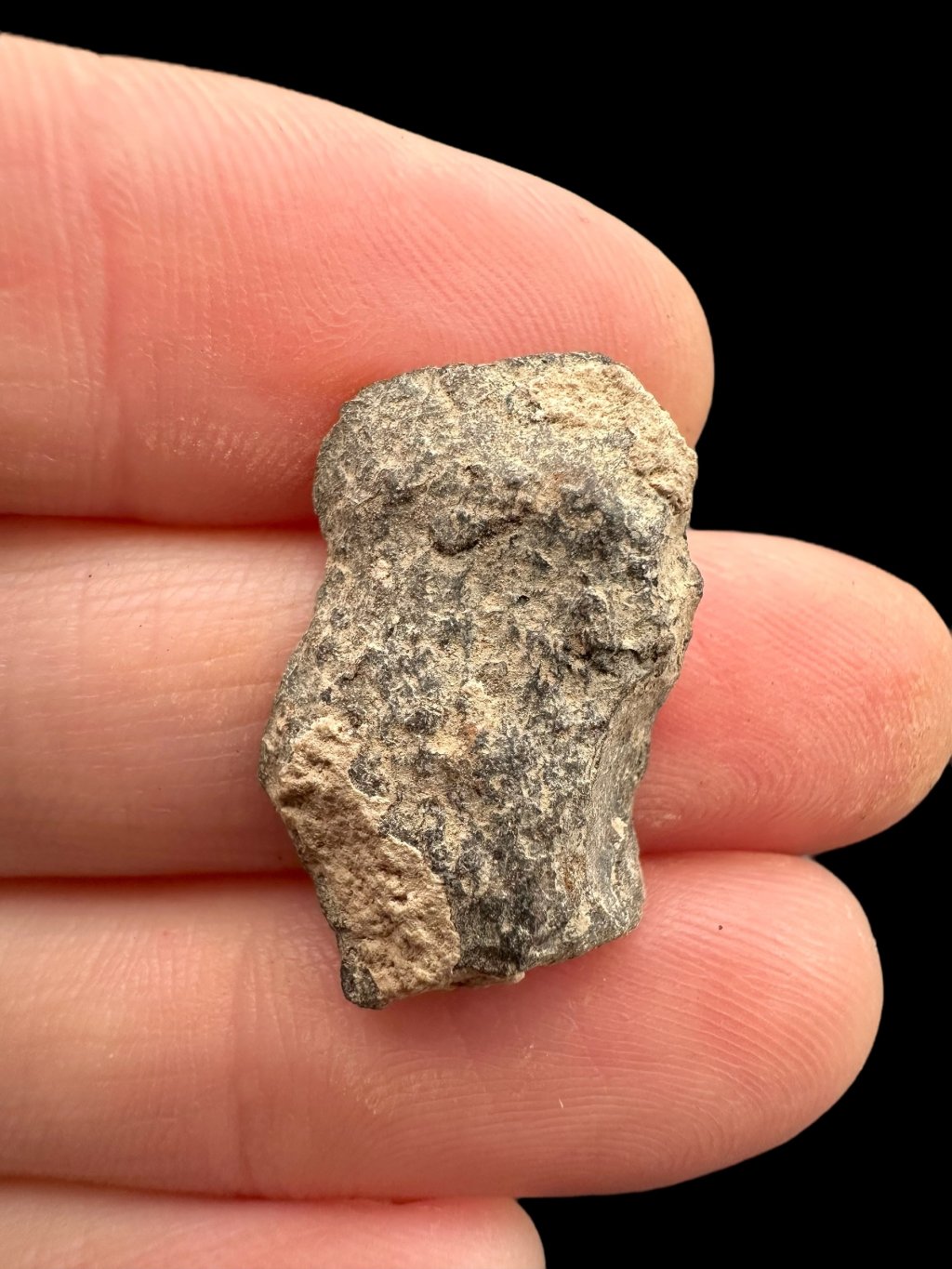 Photoroom 008 20250512 154945